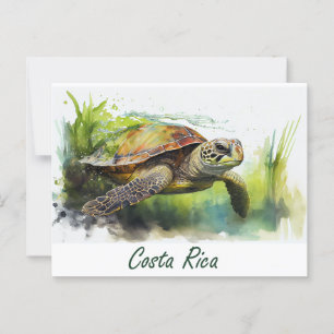 Carte Postale Tortue du Costa Rica
