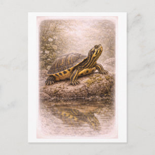 Carte Postale Tortue glissière à ventre jaune de style vintage