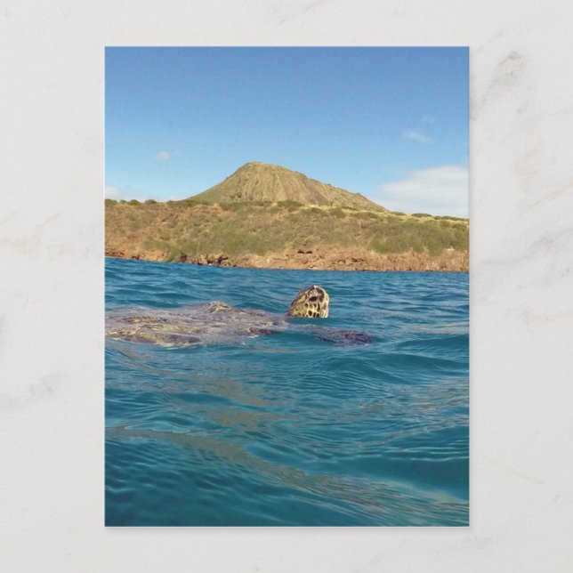 Carte Postale Tortue hawaïenne (Devant)
