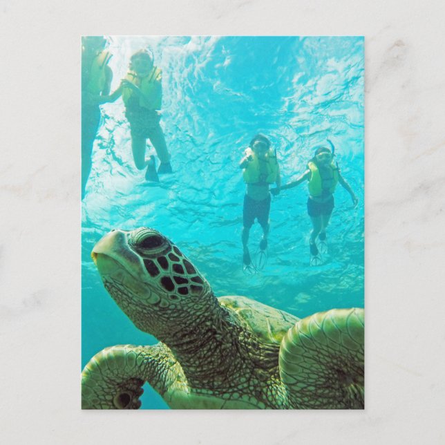 Carte Postale Tortue hawaïenne et tuba (Devant)
