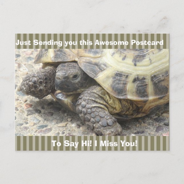 Carte Postale Tortue mignonne "Je te manque" dit Hi Post Card (Devant)