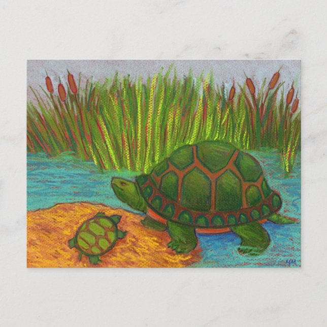 Carte Postale Tortue Pals (Devant)