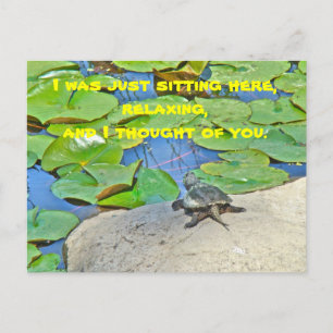Carte Postale Tortue serpentine commune - Chelydra serpentina
