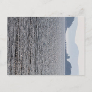 Carte Postale Tortue, Spectacle et îles du désert du Mont, Maine