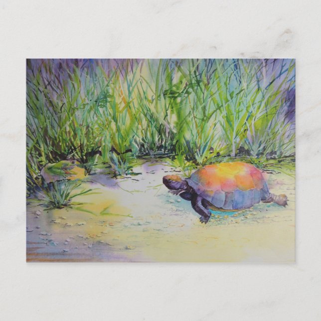 Carte Postale Tortue sur la plage (Devant)