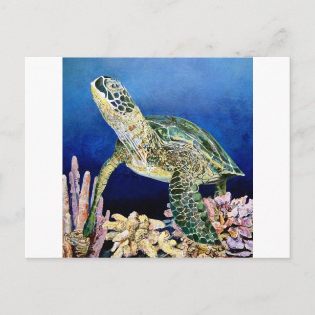 Carte Postale Tortue verte (Devant)
