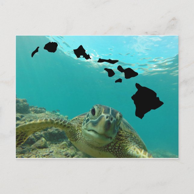 Carte Postale Tortue verte d'Hawaii (Devant)