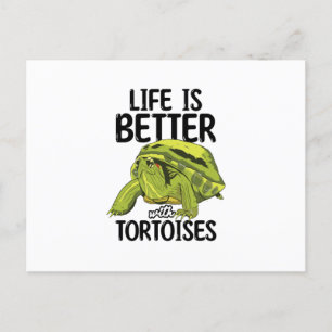 Carte Postale Tortues
