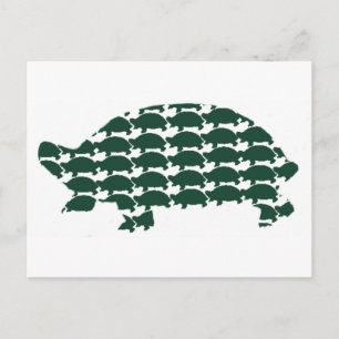 Carte Postale Tortues