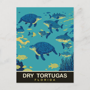 Carte Postale Tortues de mer à Dry Tortugas FL, Voyage