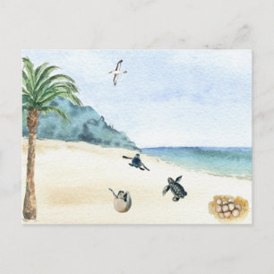 Carte Postale Tortues de mer Aquarelle d'éclosion pour bébés