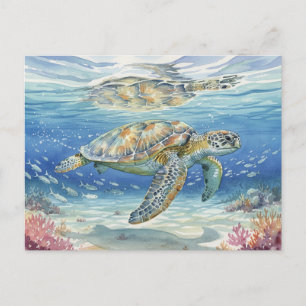 Carte Postale Tortues de mer de Kauai immergées sous la mer