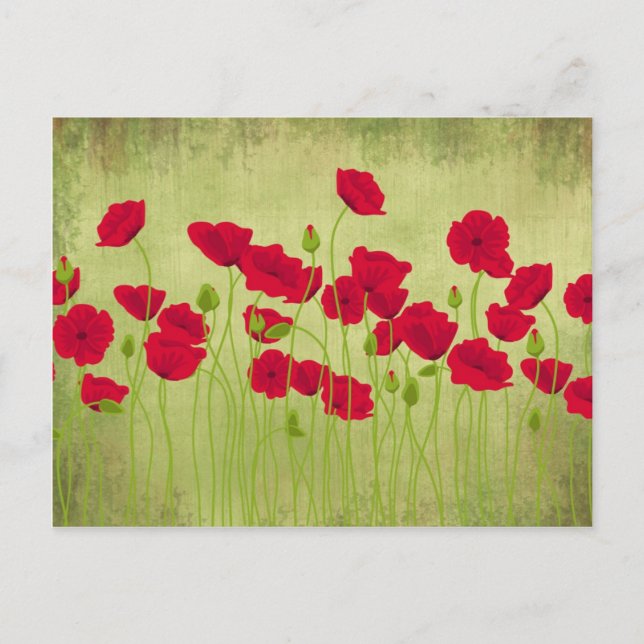 Carte postale toscane (Devant)