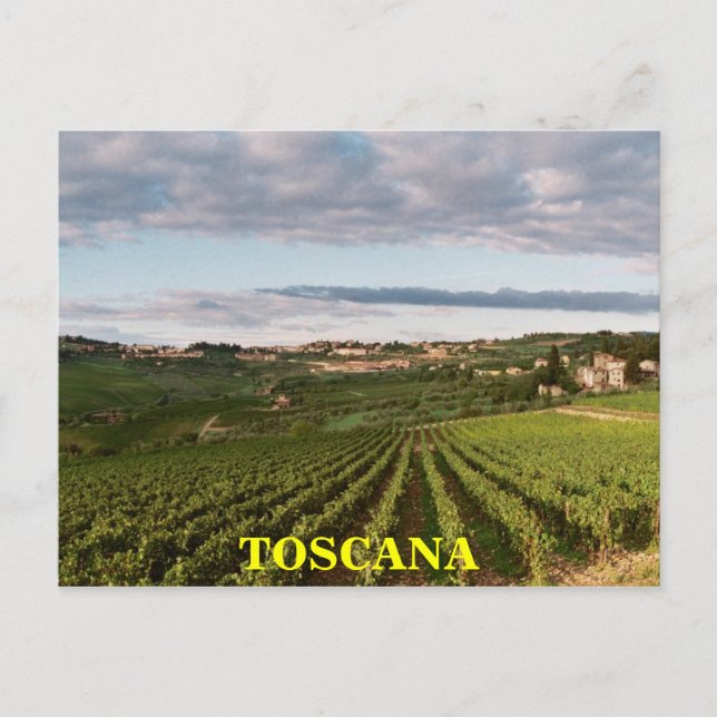 Carte Postale Toscane (Devant)