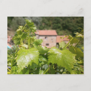 Carte Postale Toscane. Italie. Cortona.