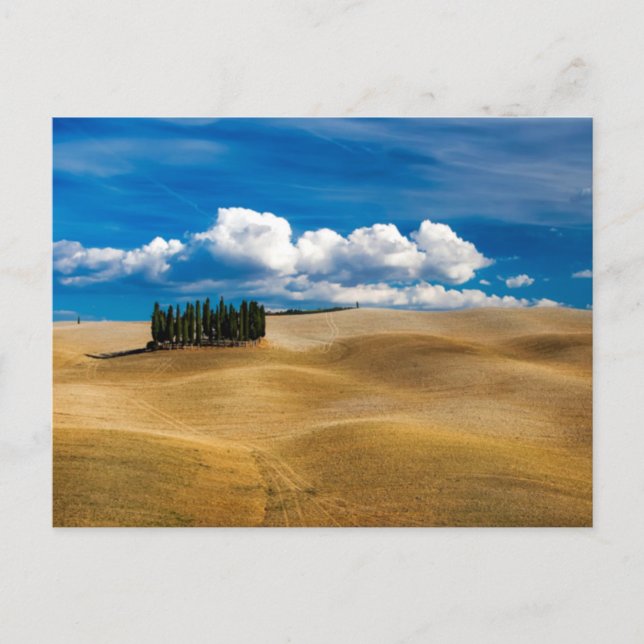 Carte Postale Toscane (Italie) Paysage des plaines (Devant)