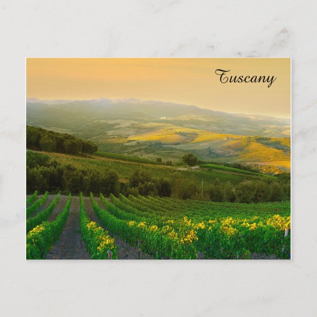 Carte Postale Toscane Italie Vignoble italien Voyage Photo (Devant)