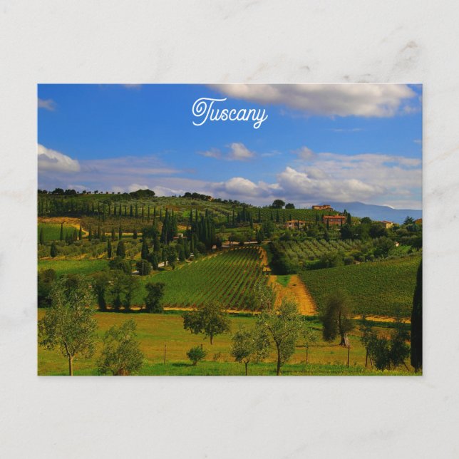 Carte Postale Toscane Italie Vignoble italien Voyage Photo (Devant)