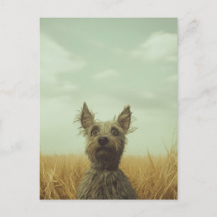 Carte Postale Toto gris dans un champ de blé