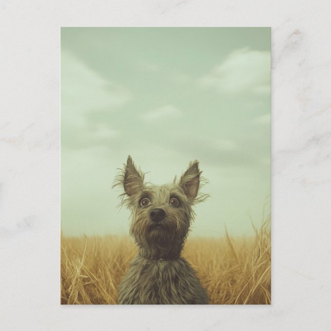 Carte Postale Toto gris dans un champ de blé (Devant)