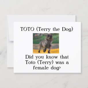 Carte Postale Toto (Terry le chien)