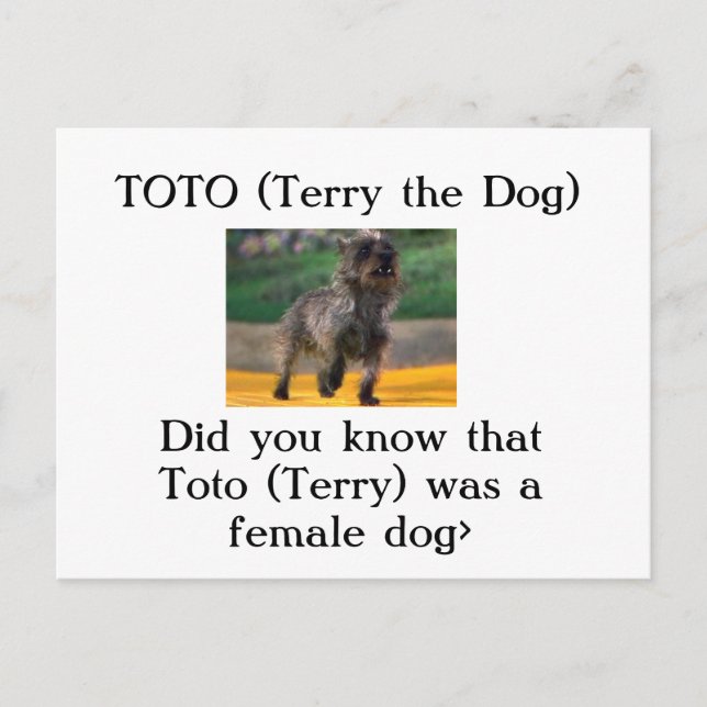 Carte Postale Toto (Terry le chien) (Devant)