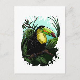 Carte Postale Toucan