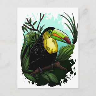Carte Postale Toucan