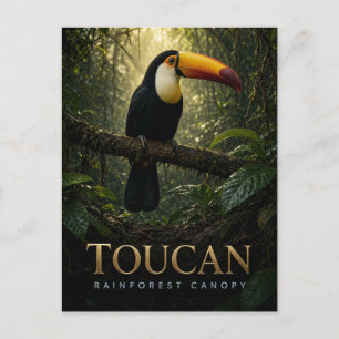 Carte Postale Toucan Canopée de la Forêt Tropicale Faune ANIMAL