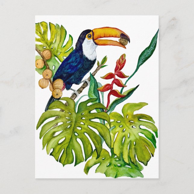 Carte Postale Toucan Coloré Aquarelle Oiseau Tropical (Devant)