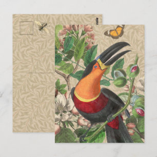 Carte Postale Toucan Jungle Oiseau Tropical Beau Antique