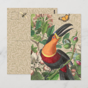 Carte Postale Toucan Jungle Tropical Bird Belle antique
