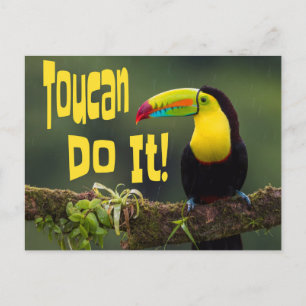Carte Postale Toucan Le Fait ! Coloré Motivationnel Oiseau amusa