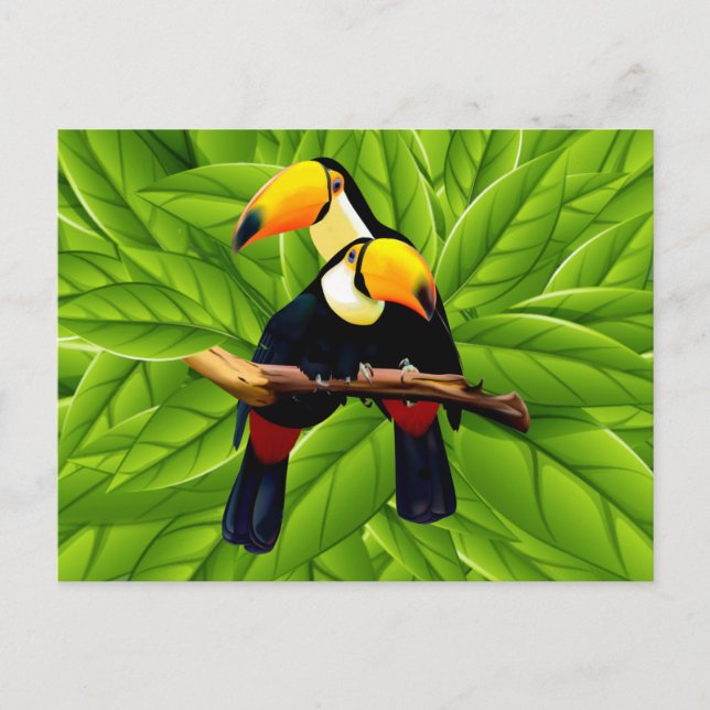 Carte Postale Toucans exotiques (Devant)