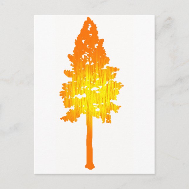 Carte Postale Touche de soleil (Devant)