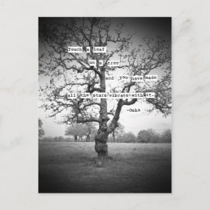 Carte Postale Touchez une feuille...