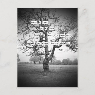 Carte Postale Touchez une feuille...