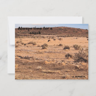 Carte Postale Toujours prendre un en-cas