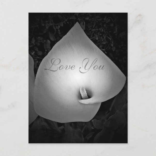 Carte Postale Toujours & Toujours,Amour_ (Devant)