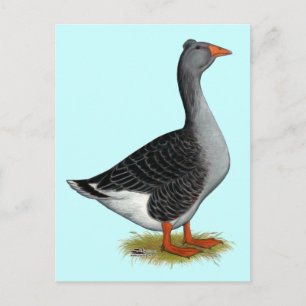 Carte Postale Toulouse Goose Tufted