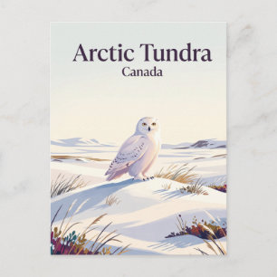 Carte Postale Toundra arctique Canada