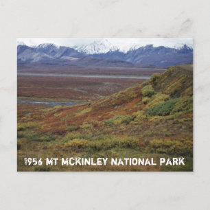 Carte Postale Toundra caribou Turning Rouge MT McKinley National