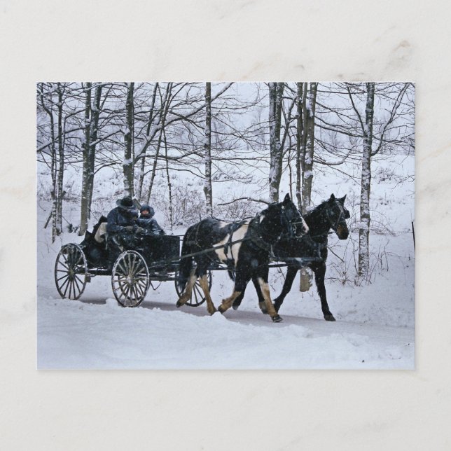 Carte Postale Tour-Carte postale amish de chariot d'hiver de (Devant)