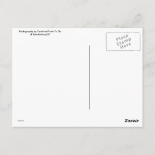 Carte postale Tour de Londres