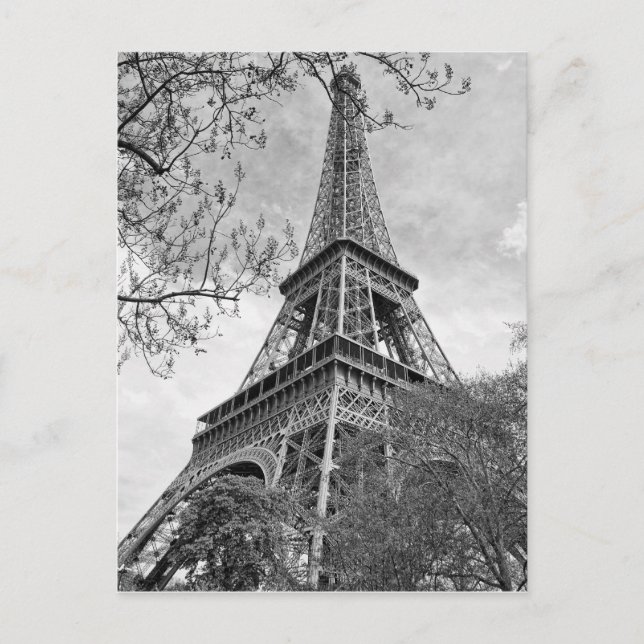 Carte Postale Tour Eiffel Panorama (Devant)