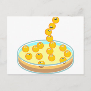 Carte Postale Tour Petri Disc