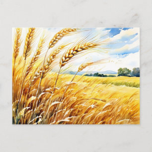Carte Postale Tourbillon de blé doré en été