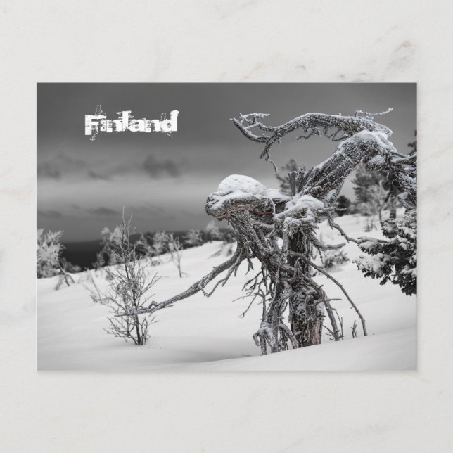 Carte postale tourisme Finlande (Devant)