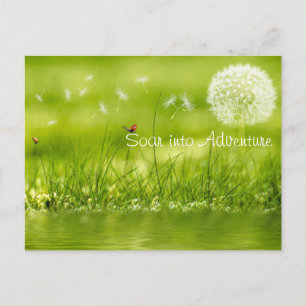 Carte Postale Tourner vers l'aventure
