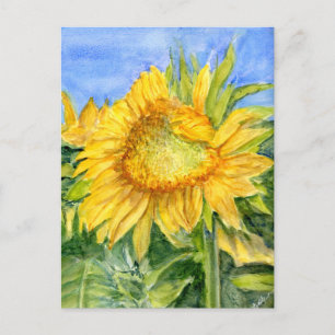 Carte Postale Tournesol